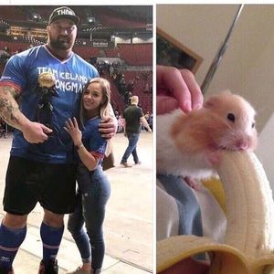 Meet your Posher, Diego